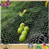 Customized Olive Netting/HDPE Warp Knitted Fabric Net on Agriculturer