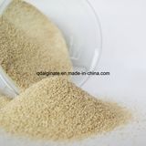 Sodium Alginates Gum Textile Chemicals