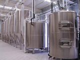 Automatic Potato Processing Machinery