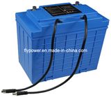 12V 110ah LiFePO4 Battery Pack (FlyPower Model FLFP-121100E3)