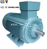 Ykp Electric Motor