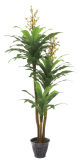 250cm Height Green Brazil Tree (0096) ---SGS High Standard