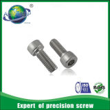 Hot Sale 304/316 Stainless Steel Fasteners