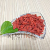 Qaidam Natural Red Goji Wolfberry Chinese Herb Medicine
