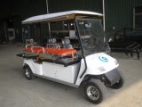 Electric Ambulance Car, CE Approved, 2 Seats, Eg2048tb1
