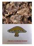 Sarcodon Aspratus Mushroom Anti-Cancer