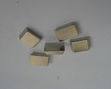 High Performance Trapezoid Neodymium Magnet