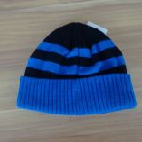 Top Selling Beanie Hat with High Quality/Warm Hat