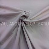 300d Polyester Imitation Memory Fabric for Garment Fabric (DT3028A)