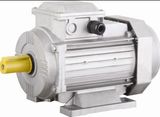 Three Phase Asynchronous Electric Motor