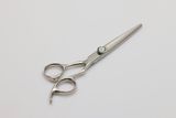 Hair Scissors (F-911)