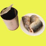Good Price 425 Grams Canned Mackerel in Brine (ZNMB0002)