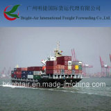 Ocean Transport Shipping Agent in China to Colombia