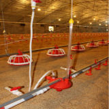Integrated Poultry Equipment Package for Poultry Production