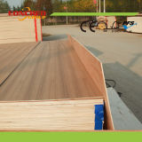 3mm Thin Thickness Plywood for Furniture Backboard