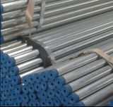 Seamless Steel Galvanized Pipe Tube