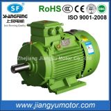 660V Ye3 Electric Three-Phase Asynchronous AC Motor with CE RoHS