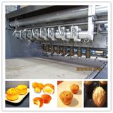 Large Capacity Fully-Automatic Cake Making Machinery