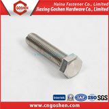 Standard Fastener Stainless Steel Hex Bolt / Flange Bolt / Carriage Bolt