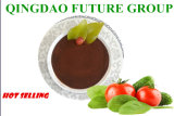 Plant Origin Powder Fulvic Acid Organic Fertilizer