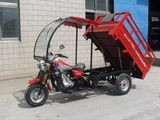 Tricycle 150cc 200cc 250cc