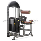 Lifetime Warranty for Frame Back Extension Gym Equipment / Fitness Equipment for Body Building