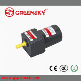 GS High Torque 6W 60mm AC Induction Electric Motor