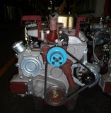 Stationary Power Diesel Engine for 6jd56X10 Deep Well Pump