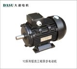 Horizontal Electric Motor