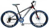 MTB Bike (24MTB1502)