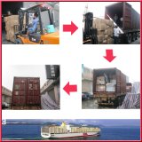 Sea Freight From China to Rio De Janeiro, Brazil