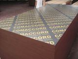 WBP Glue Film Faced Plywood