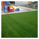 Plastic Turf Artificial Grass Carpet for Kids/Kindergarten