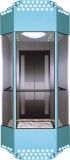 Sightseeing Elevator Lift (DAIIS536)