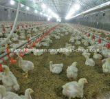 Environment Controlled Poultry House Equipment