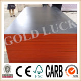 Qingdao Gold Luck Sides Sealed Film Faced Plywood (QDGL150116)
