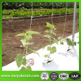 15X17cm Plant Support Net