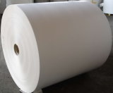 Double PE Coated Paper for Cup