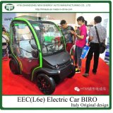 Smart Design Green Power Electric Car with Two Doors