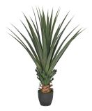 Artificial Plants and Flowers of Dracaena Draco Jf547