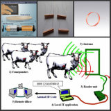 RFID Animal Identification Coil (electromagnetic coil, Antenna RFID coil)