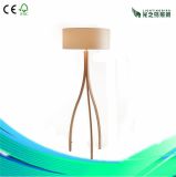 Modern Home Decoration Lighting with Lampshade (LBMD-ZY)