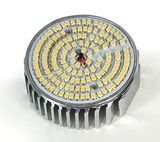 12W Low Power LED Down Light