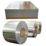 Aluminum Sheet (coil) 5052