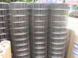 Electro Gal. Welded Wire Mesh (sw-00002)