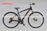 Mountain Bicycle (29MT005)