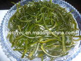 Dried Shredded Seaweed (sea kale, laminaria japonica, kelp, sea tangle)