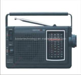 FM/TV/AM/SW1-2 5 Band Radio Receiver (BW-F304)