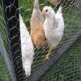 Chicken Wire Fence, Hexagonal Wire Netting
