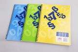 Spiral Notebook Maslino Series